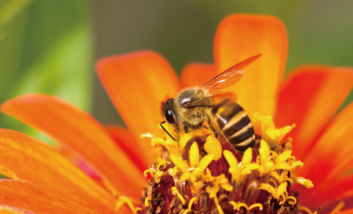 不同光線(xiàn)在攝影中(zhōng)的表現 不同光線(xiàn)在攝影中(zhōng)的表現