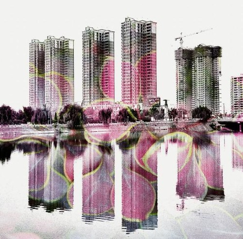 教你給照片起個好标題 讓它更吸引人