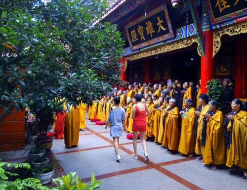 教你給照片起個好标題 讓它更吸引人