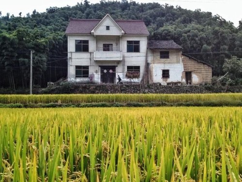 教你給照片起個好标題 讓它更吸引人